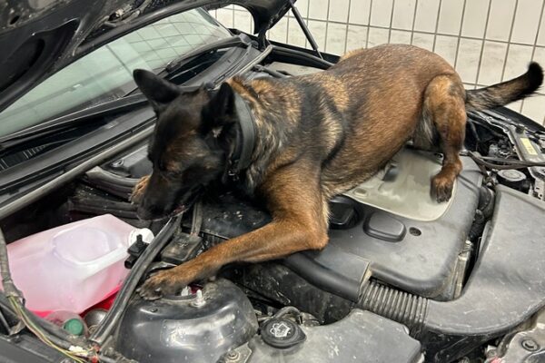 HZA-RO: Zollkontrolle am Irschenberg an der A 8 Richtung Salzburg: Knapp 55 Gramm „Crystal“ versteckt in der Mittelkonsole