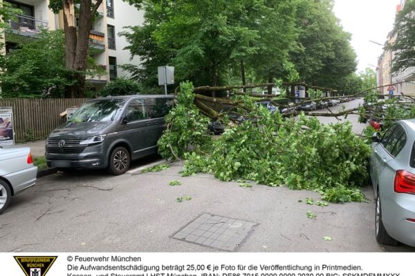 FW-M: Herabfallender Ast beschädigt mehrere Fahrzeuge (Neuhausen)